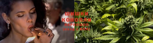 альфа пвп Горно-Алтайск