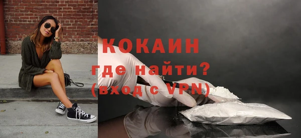 PSILOCYBIN Горняк
