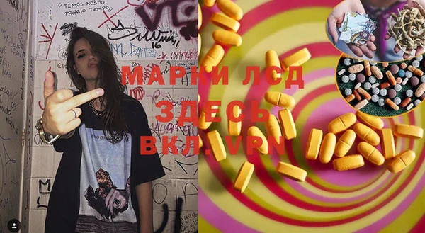 PSILOCYBIN Горняк