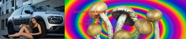 альфа пвп Горно-Алтайск