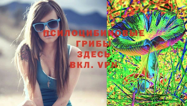 альфа пвп Горно-Алтайск