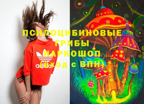 PSILOCYBIN Горняк