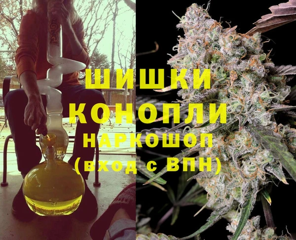 PSILOCYBIN Горняк