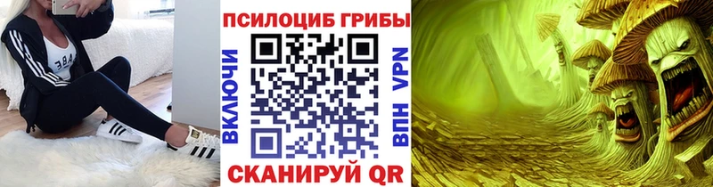 цена наркотик  Монино  Псилоцибиновые грибы мицелий 